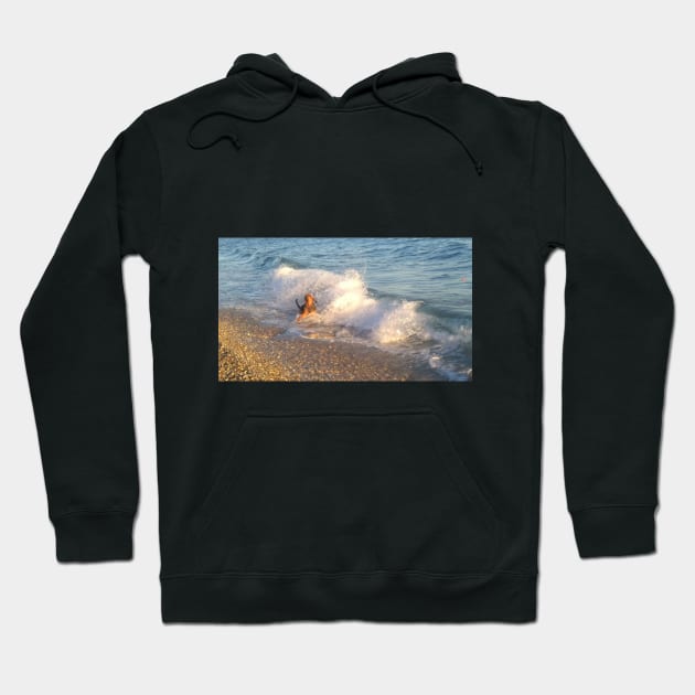 Bloodhound Dog Waves Hoodie by nounejm